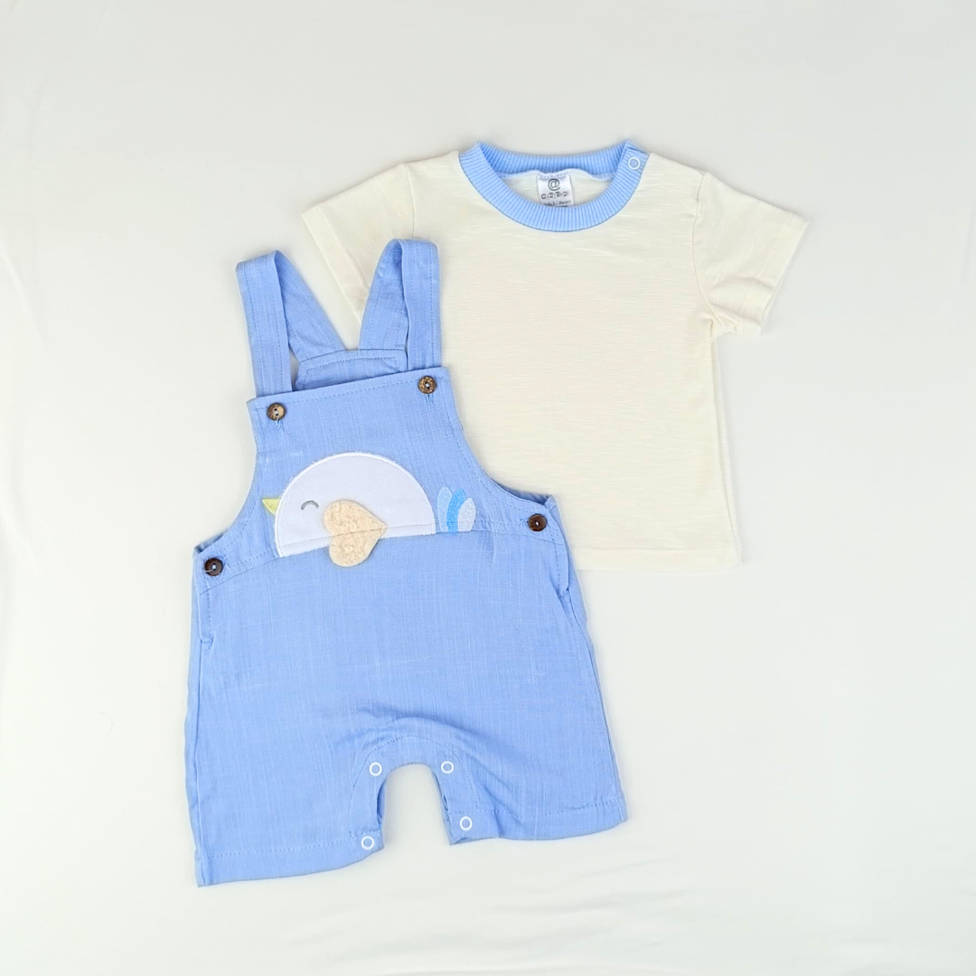 BRAGA PAJARITO NIÑO