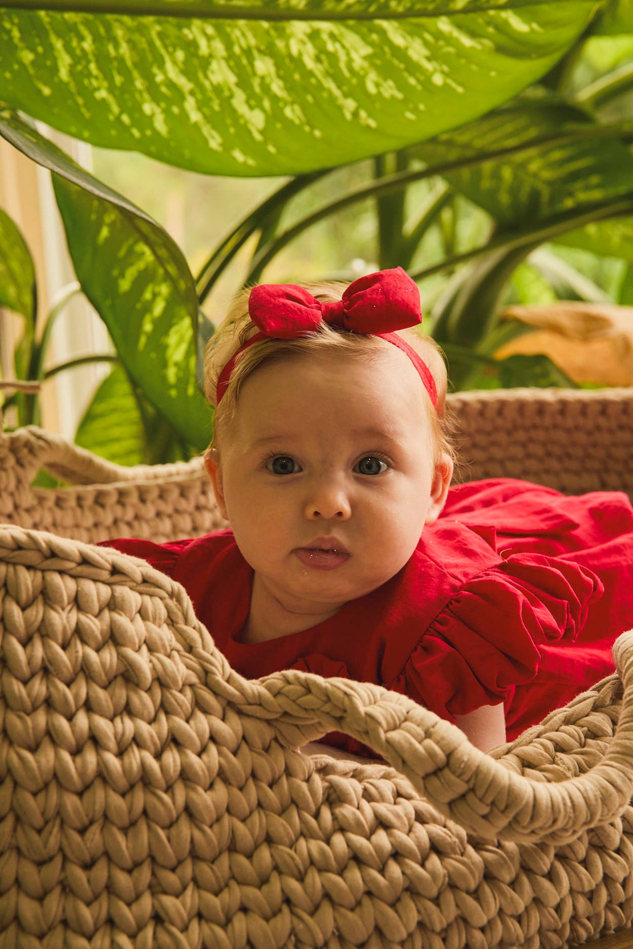 ASOLEADOR CORAZON 🚨PREVENTA🚨