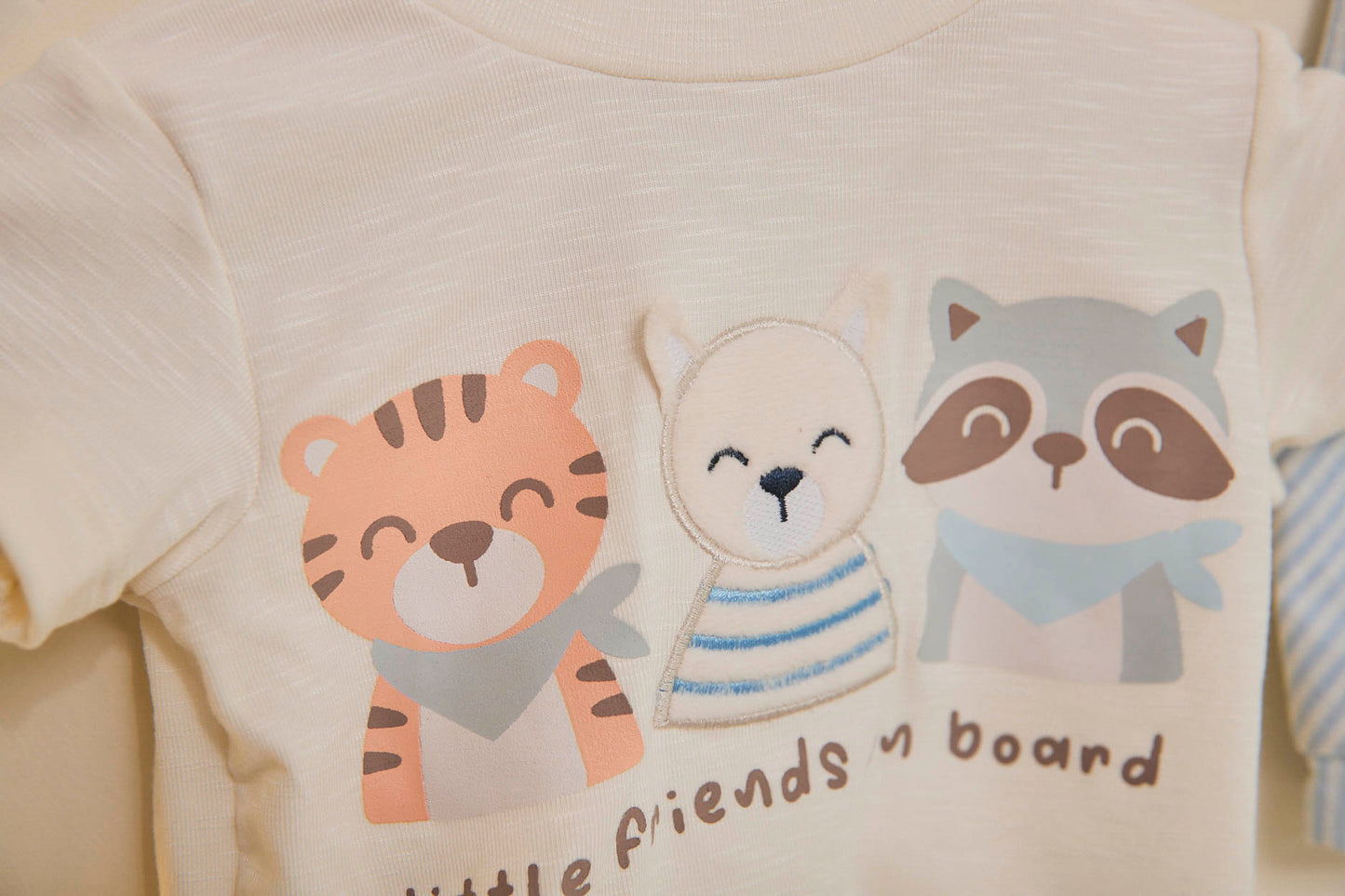 CONJUNTO FRIENDS
