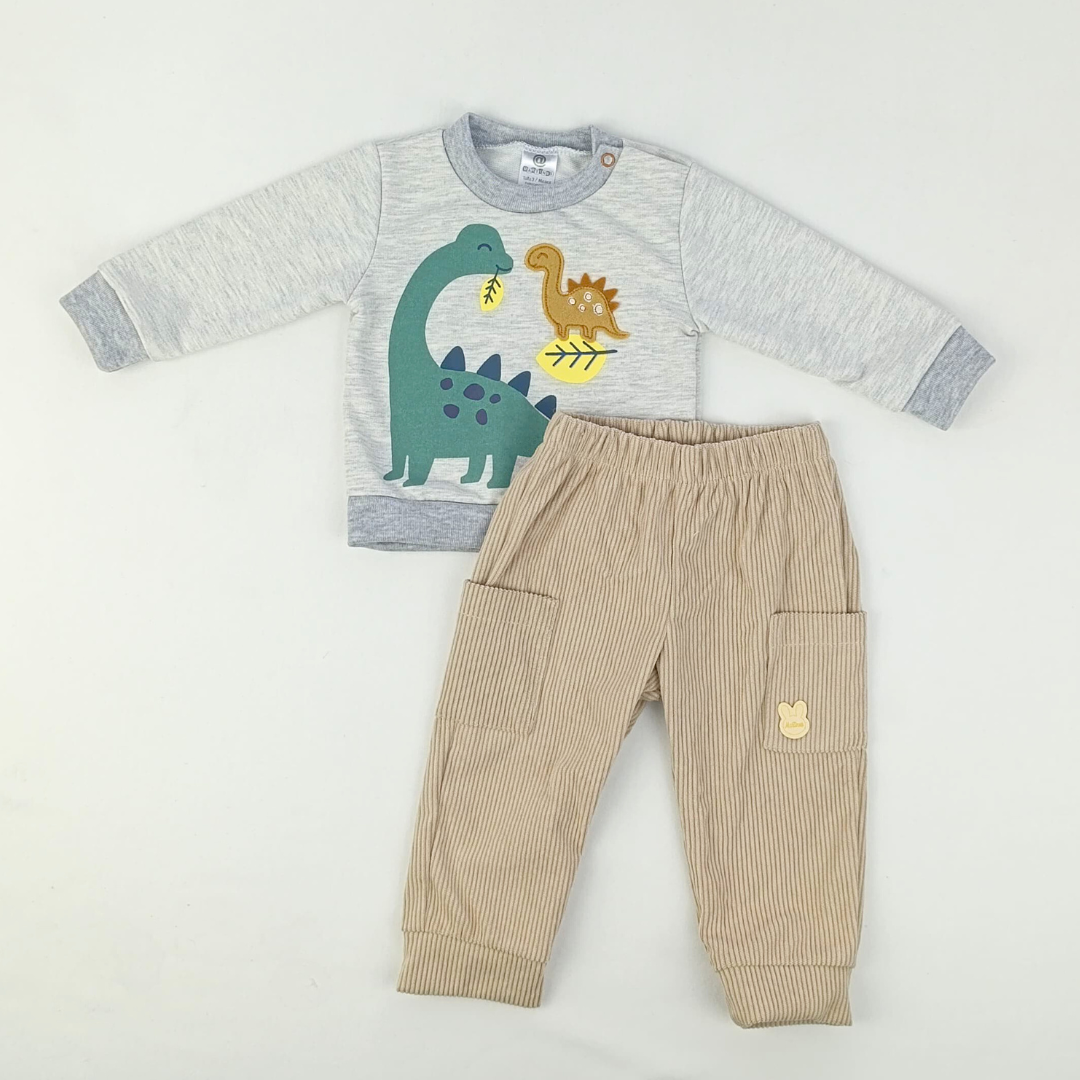 CONJUNTO ARLO