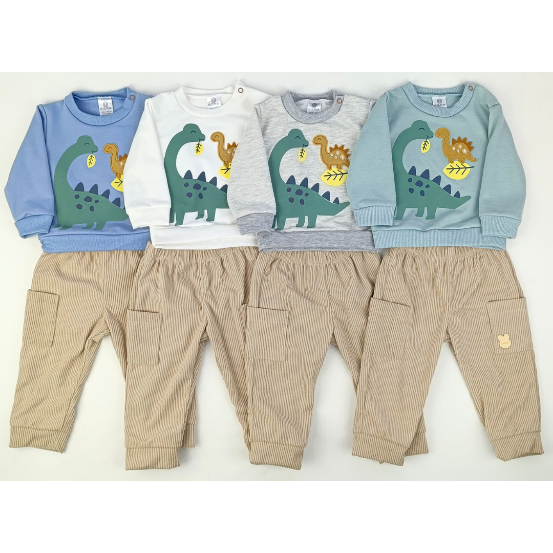 CONJUNTO ARLO